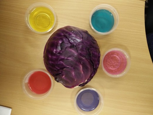 red-cabbage-indicator