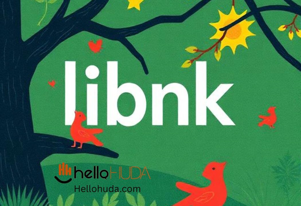 libnk: A Complete Guide to Its Multiple Meanings and Uses