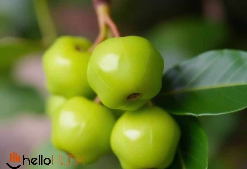 Žižole: The Tiny Asian Superfruit That’s Packed with Vitamin C